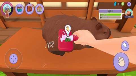 卡皮巴拉养成下载